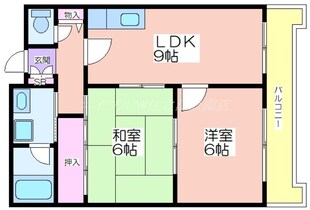 ルミエール住吉の物件間取画像